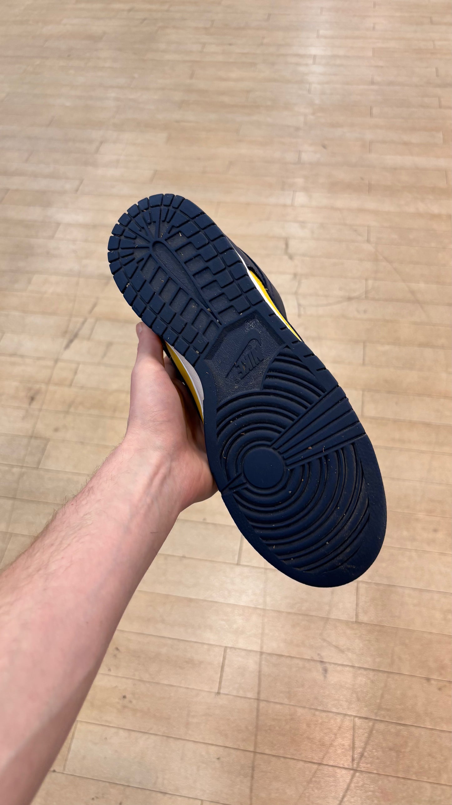 Nike Dunk Low Michigan (Used)