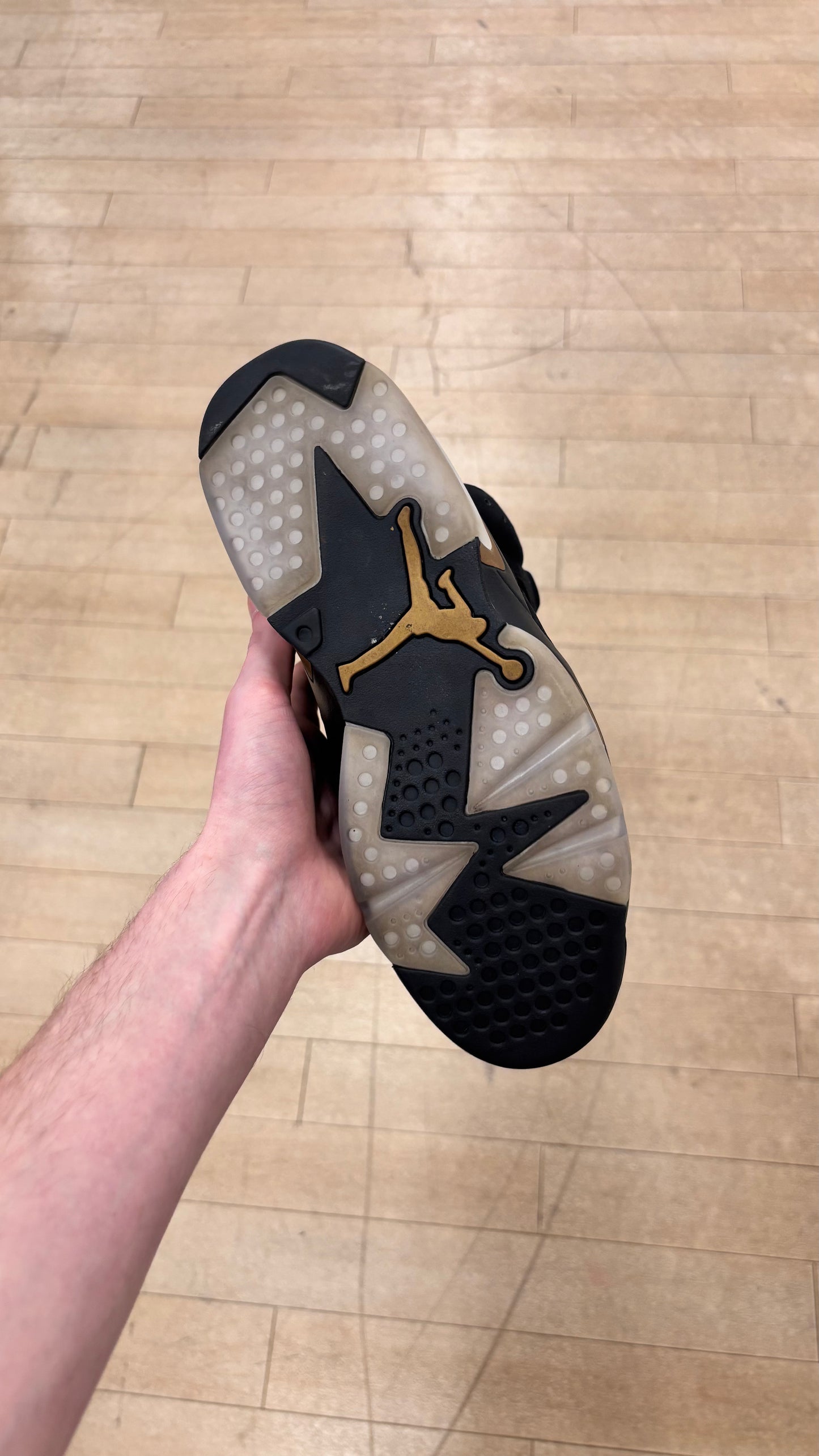 Jordan 6 DMP (Used)