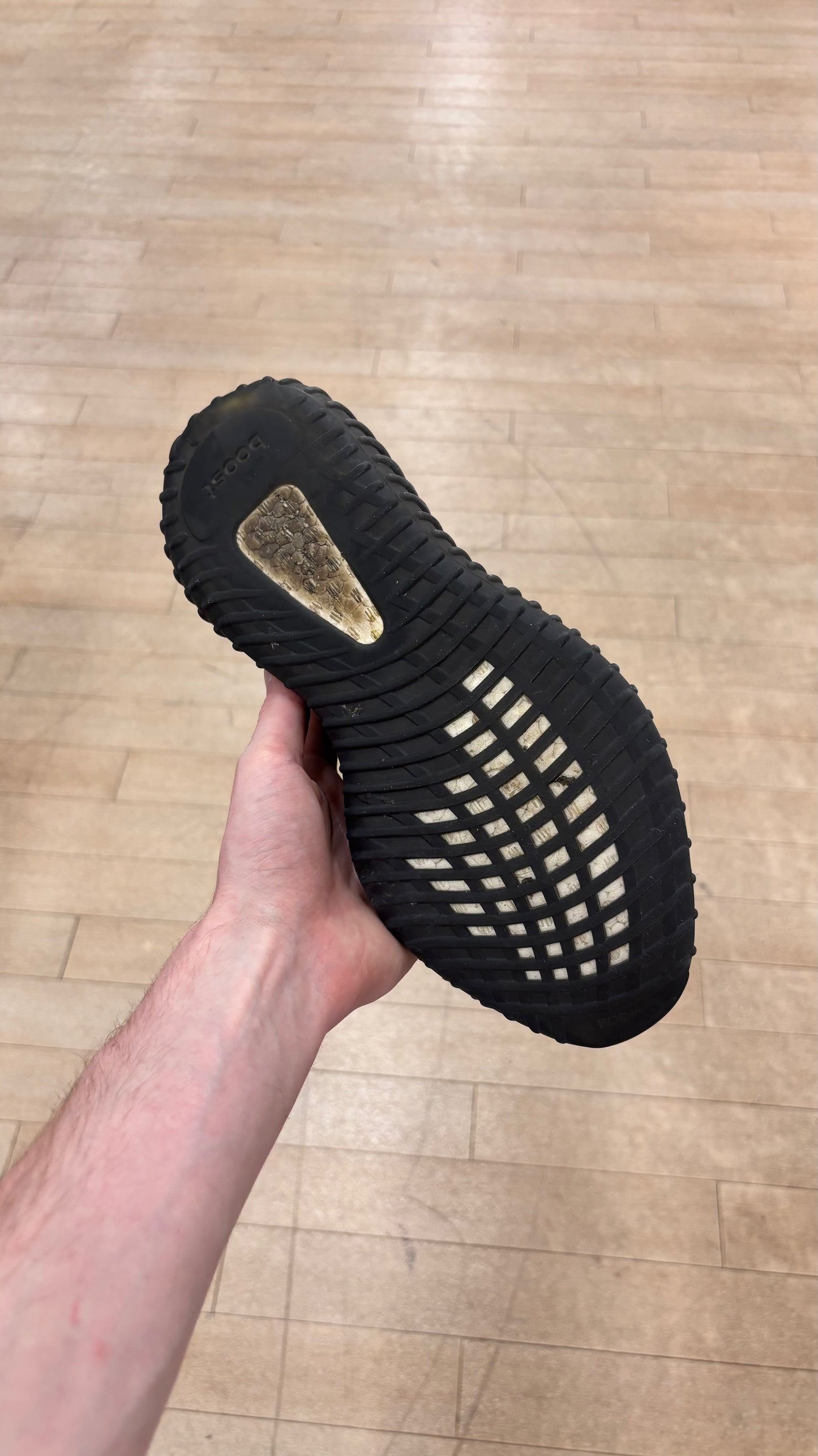 Yeezy 350 V2 Carbon Beluga (Used)