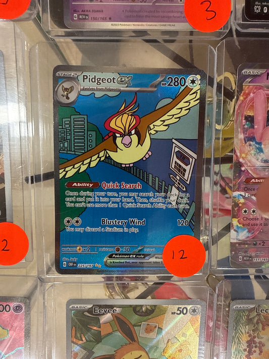 Pokemon Pidgeot Ex