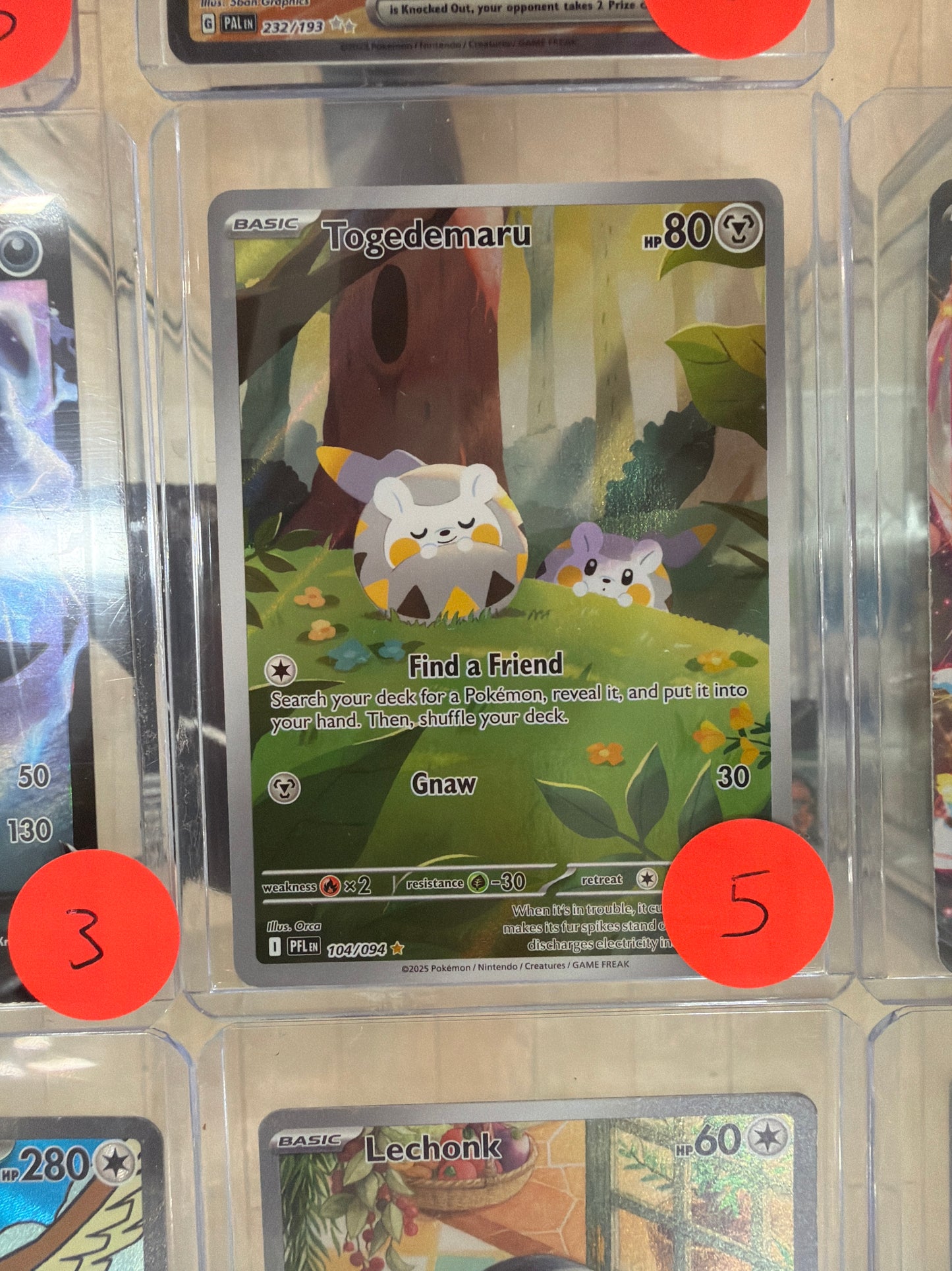 Pokemon Togedemaru