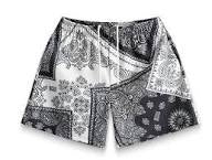 Bravest Studios Bandana Shorts