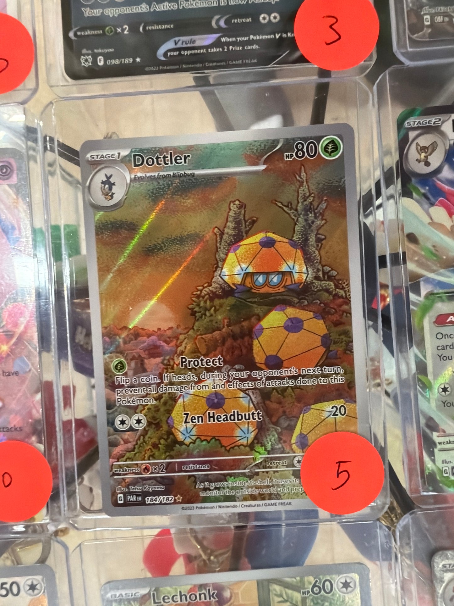 Pokemon Dottler