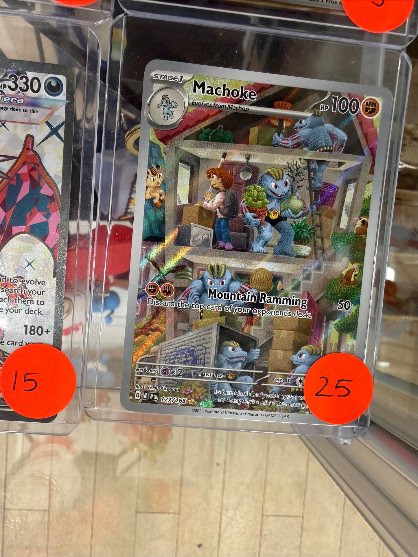 Pokemon Manchoke