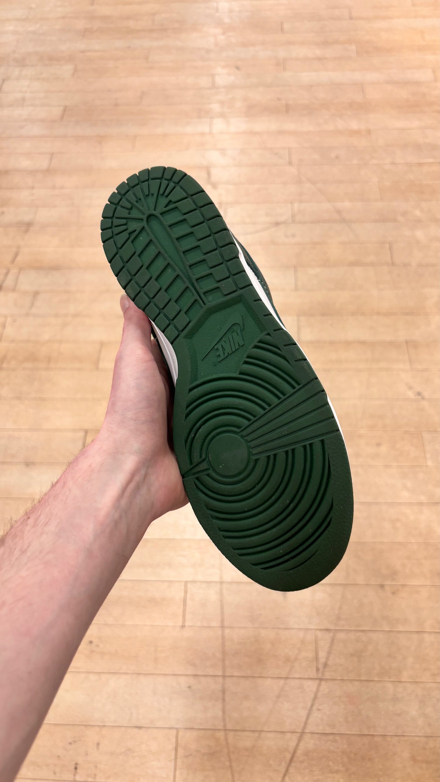 Nike Dunk Low Michigan State (Used)