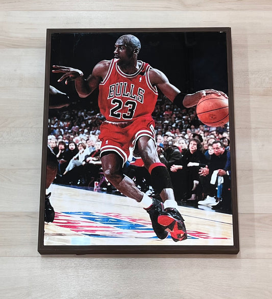 Michael Jordan Painting