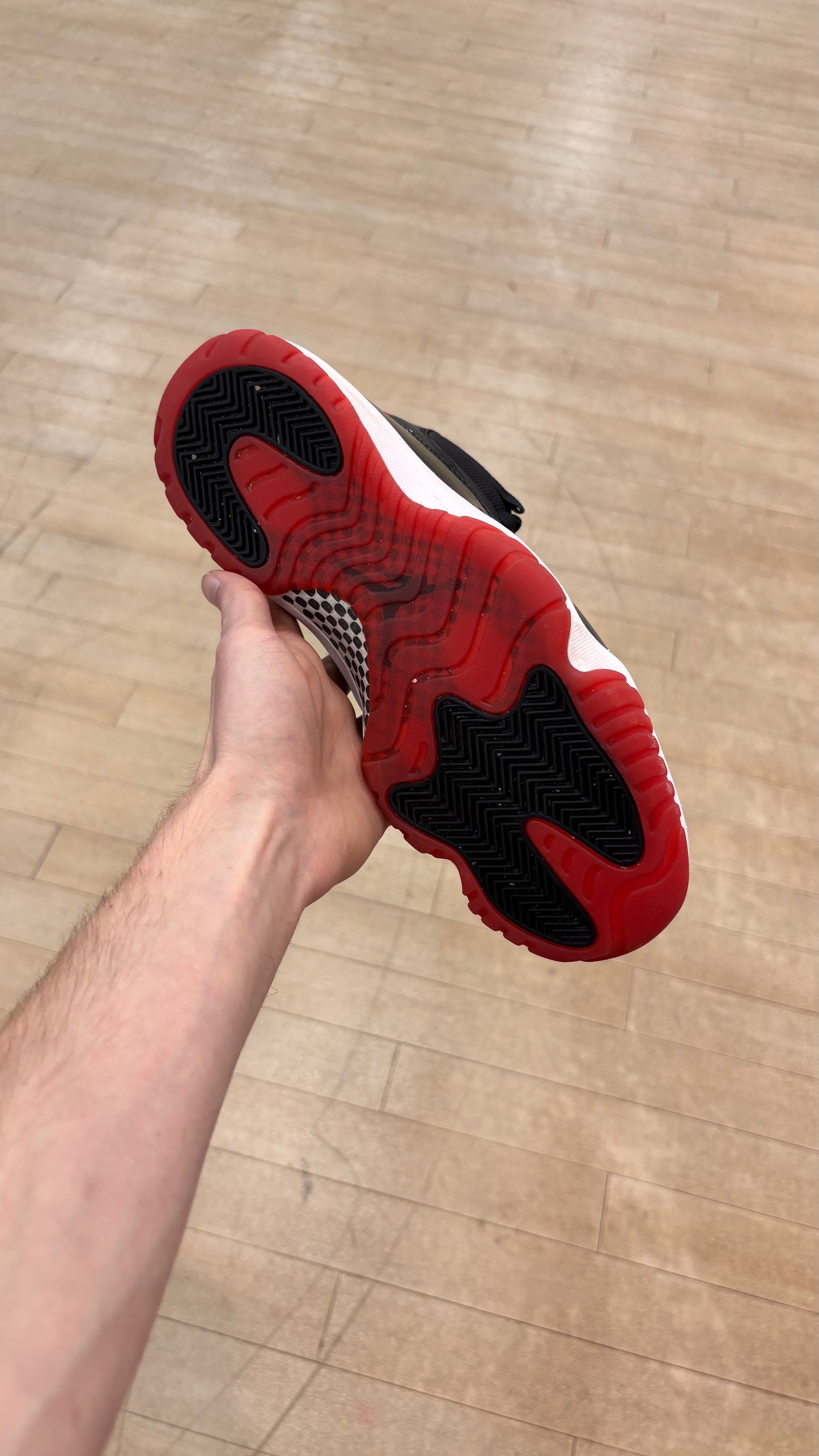 Jordan 11 High Bred (Used)