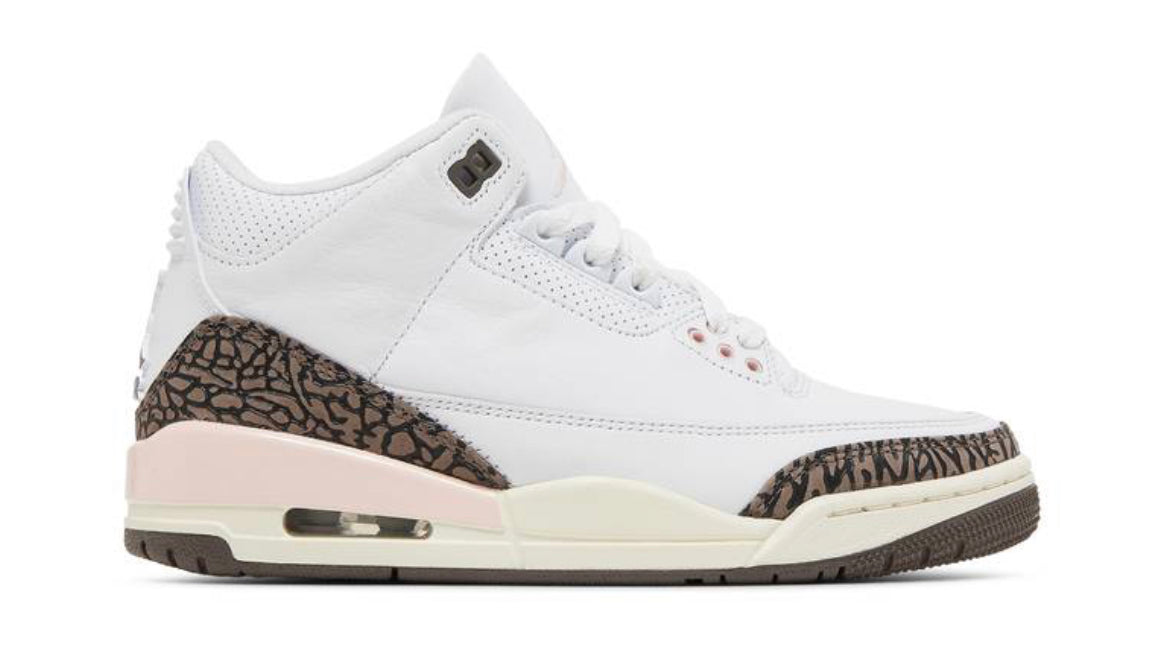 Jordan 3 Neapolitan (Used)