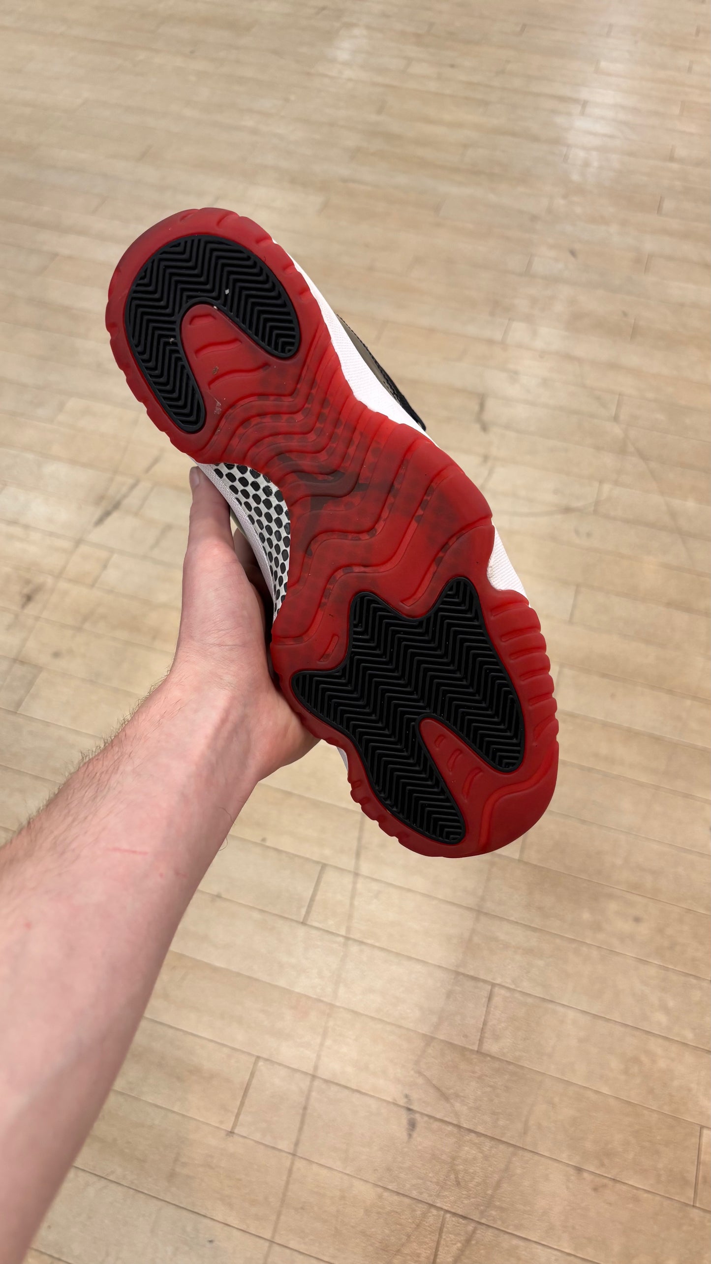 Jordan 11 High Bred (Used)