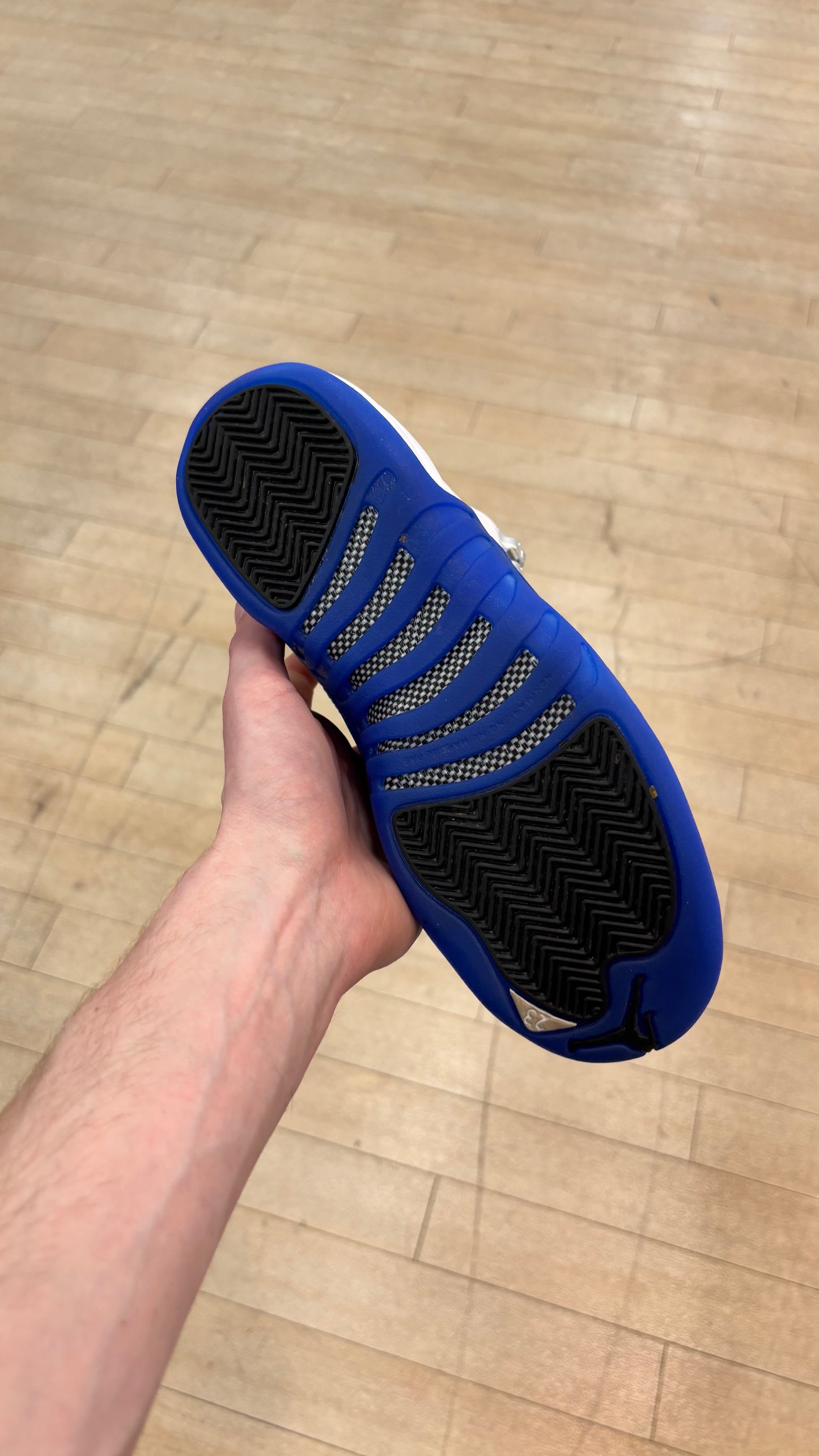 Jordan 12 Blueberry GS (Used)