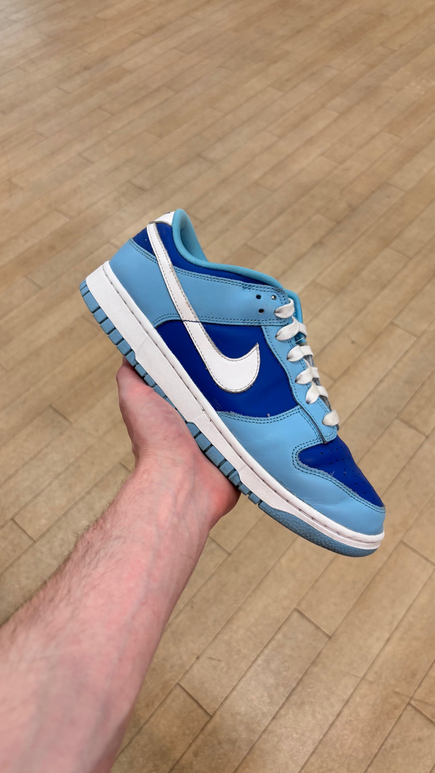 Nike Dunk Low Argon (Used)