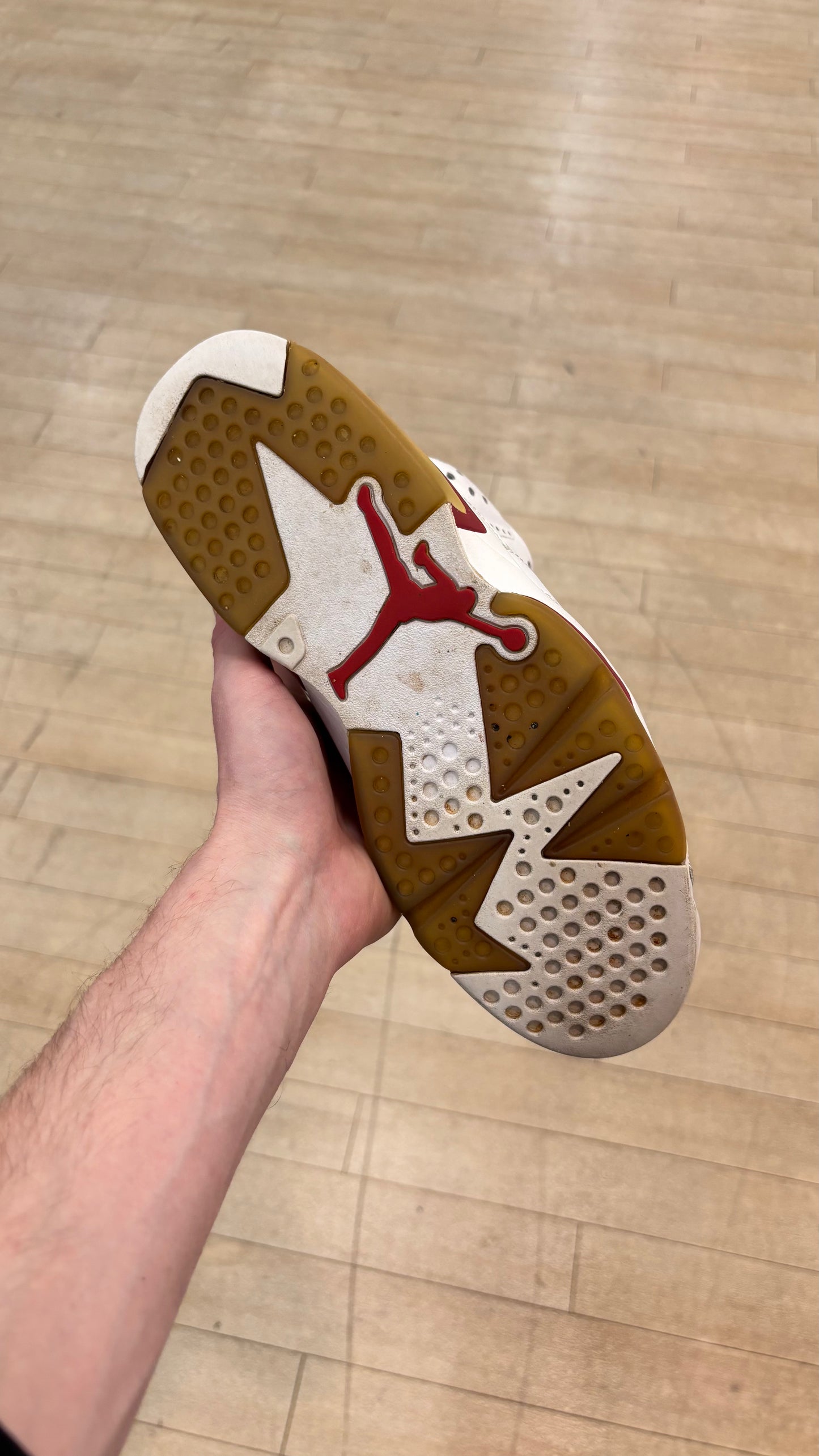 Jordan 6 Alternate (Used)