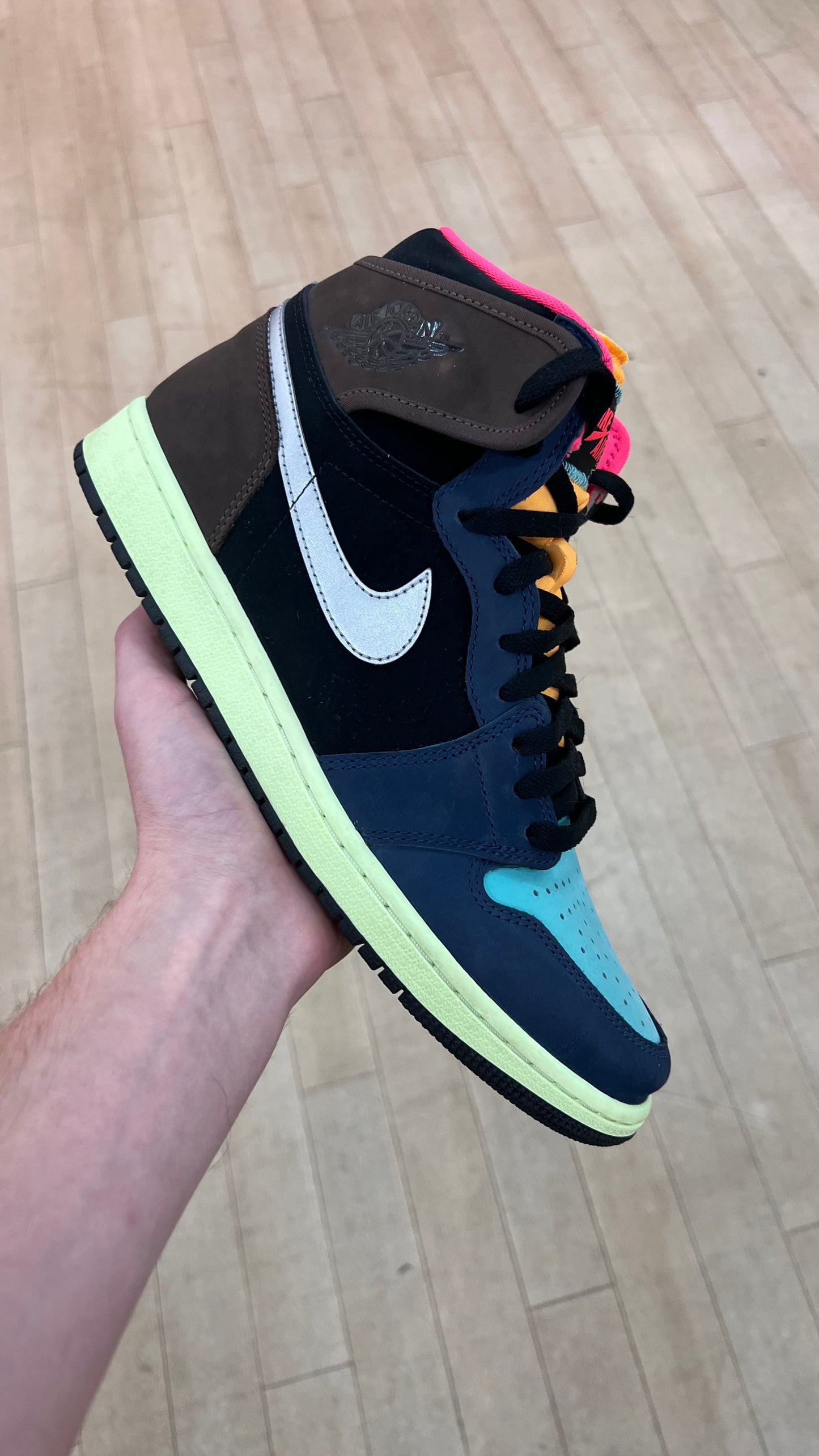 Jordan 1 High Bio Hack (Used)