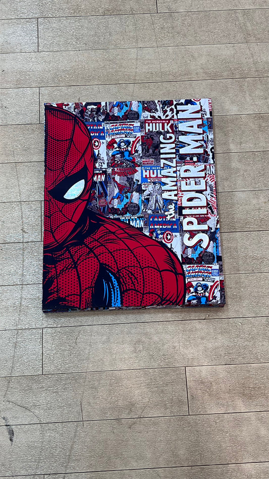 Spider-Man Canvas Painting