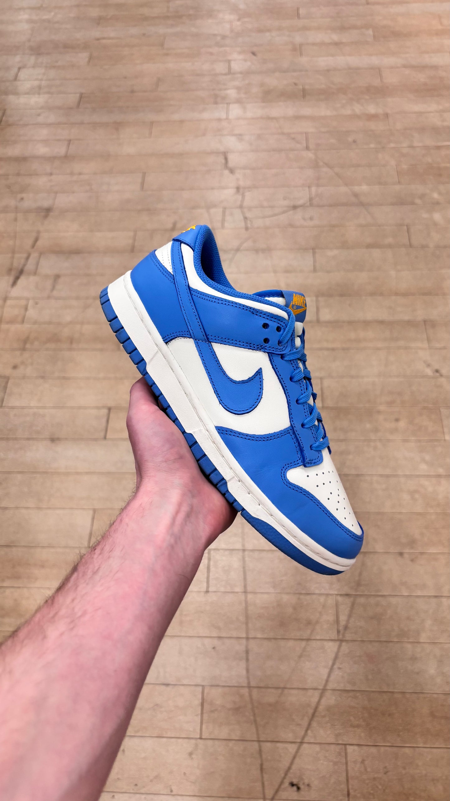 Nike Dunk Low Coast W (Used)