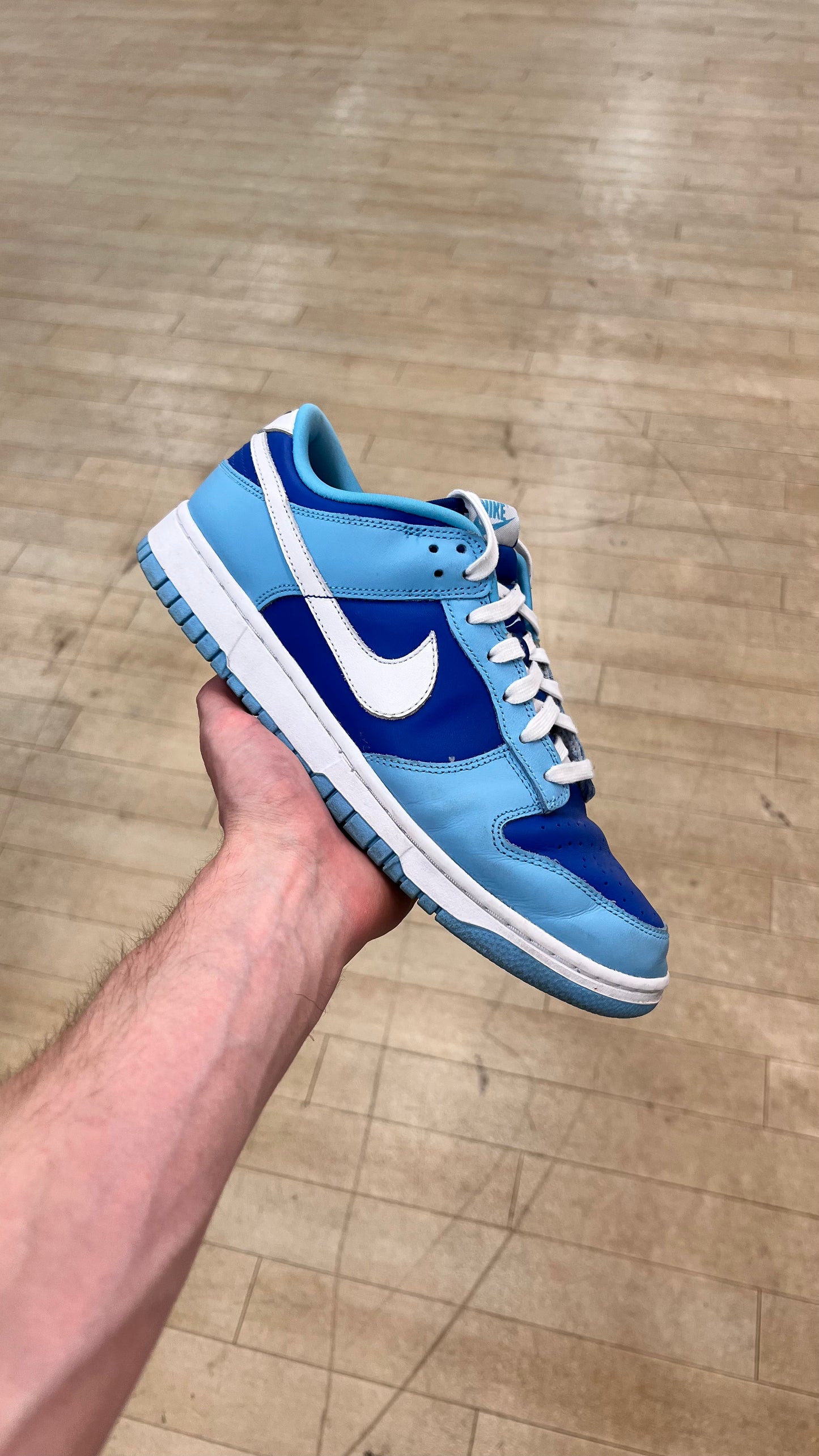 Nike Dunk Low Argon (Used)