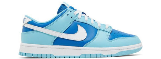 Nike Dunk Low Argon (Used)