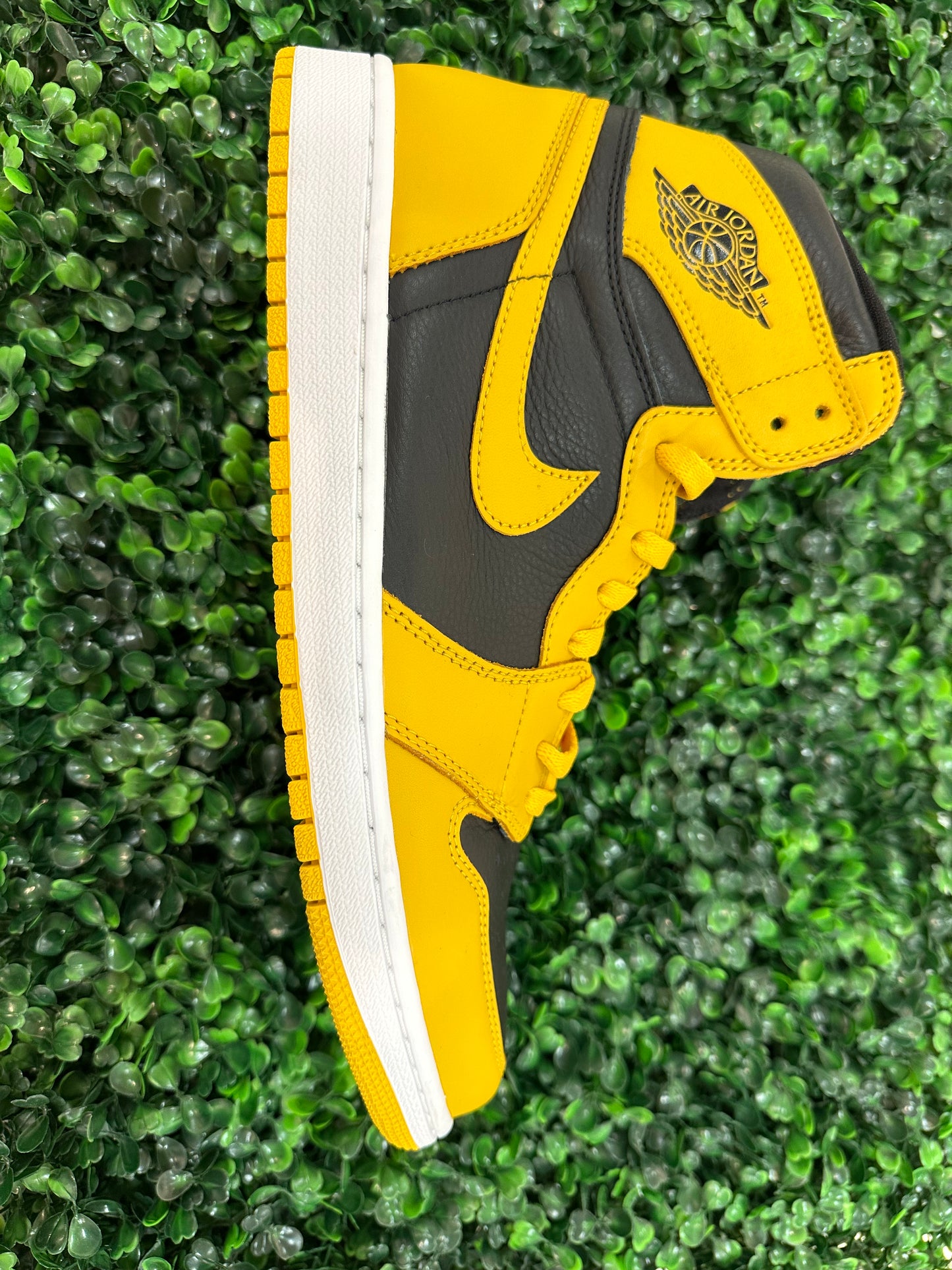 Jordan 1 High Pollen (Used)