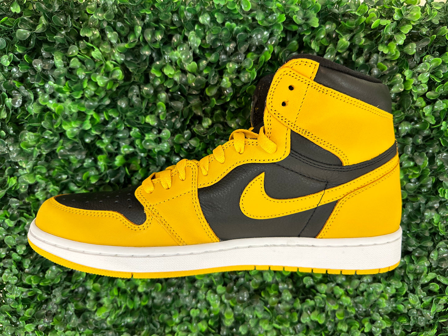 Jordan 1 High Pollen (Used)